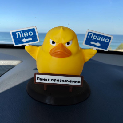 Декоративна качка ліво - право, Пункт призначення